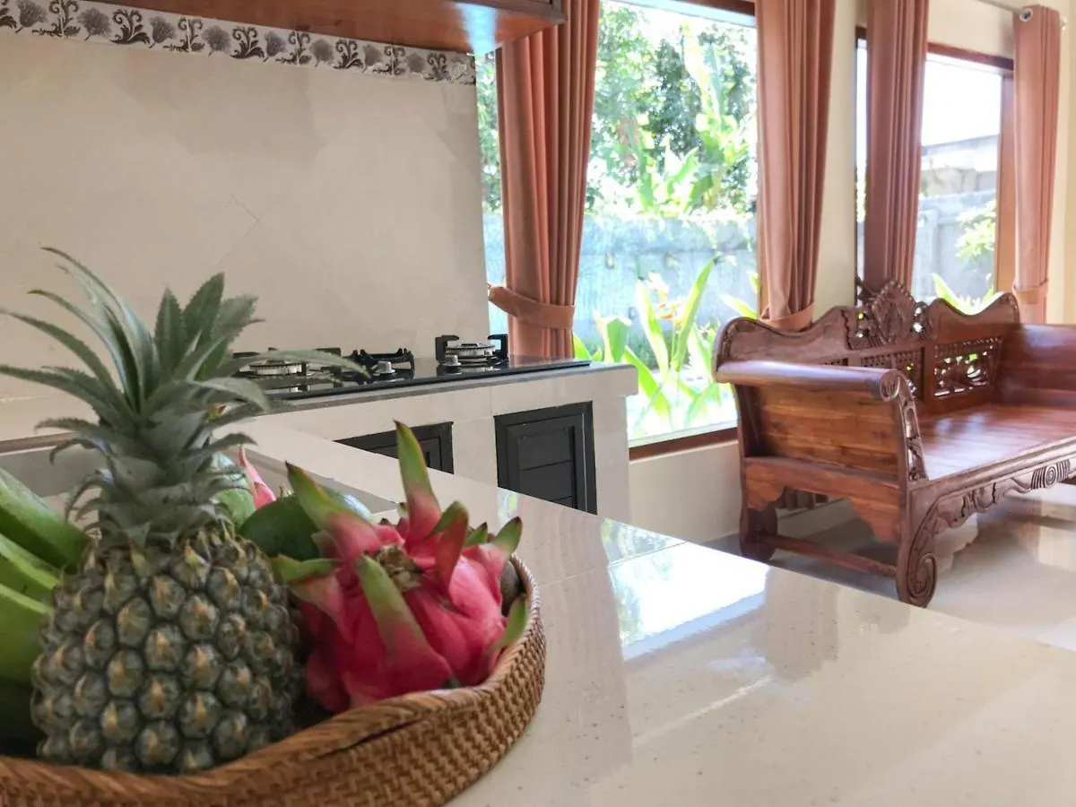 Villa Dira Ubud Indonesië